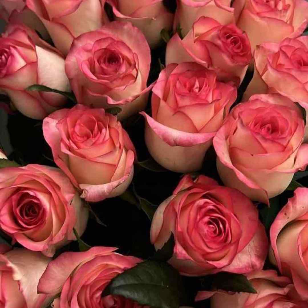  چشماتو ببند کنارتم هنوز چشماتو ببند با صدای بچه