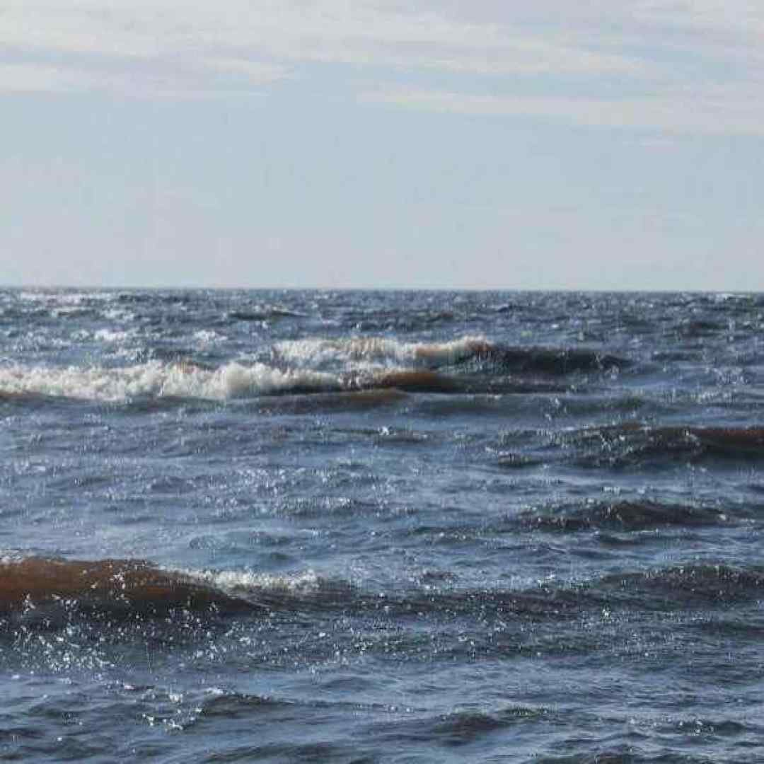  من میخوره به دیوار سرم هی میگیره ورژن اینستاگرامی