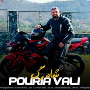 دانلود آهنگ شاه رگ از پوریا ولی