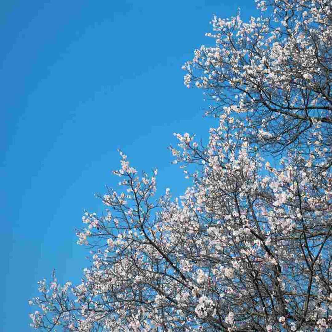  چقدر من درک کردم چقدر من رحم کردم با صدای بچه