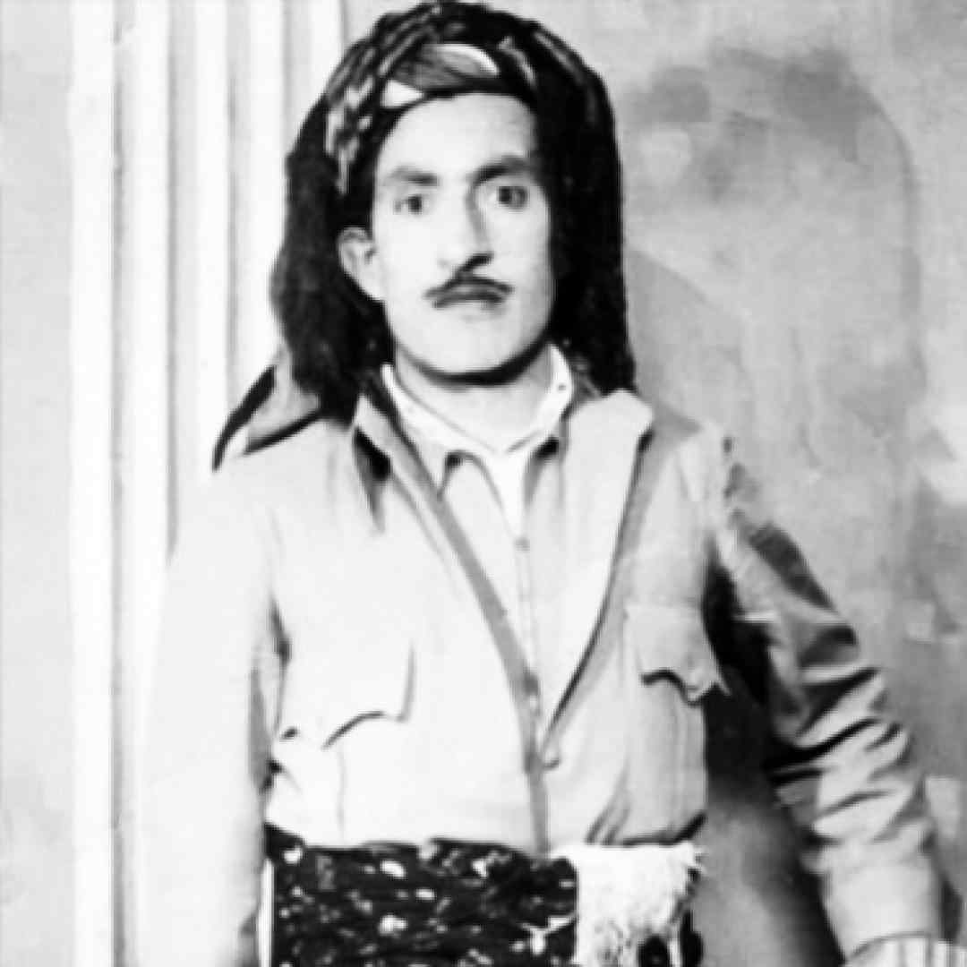 حسن زیرک بیانیت باش