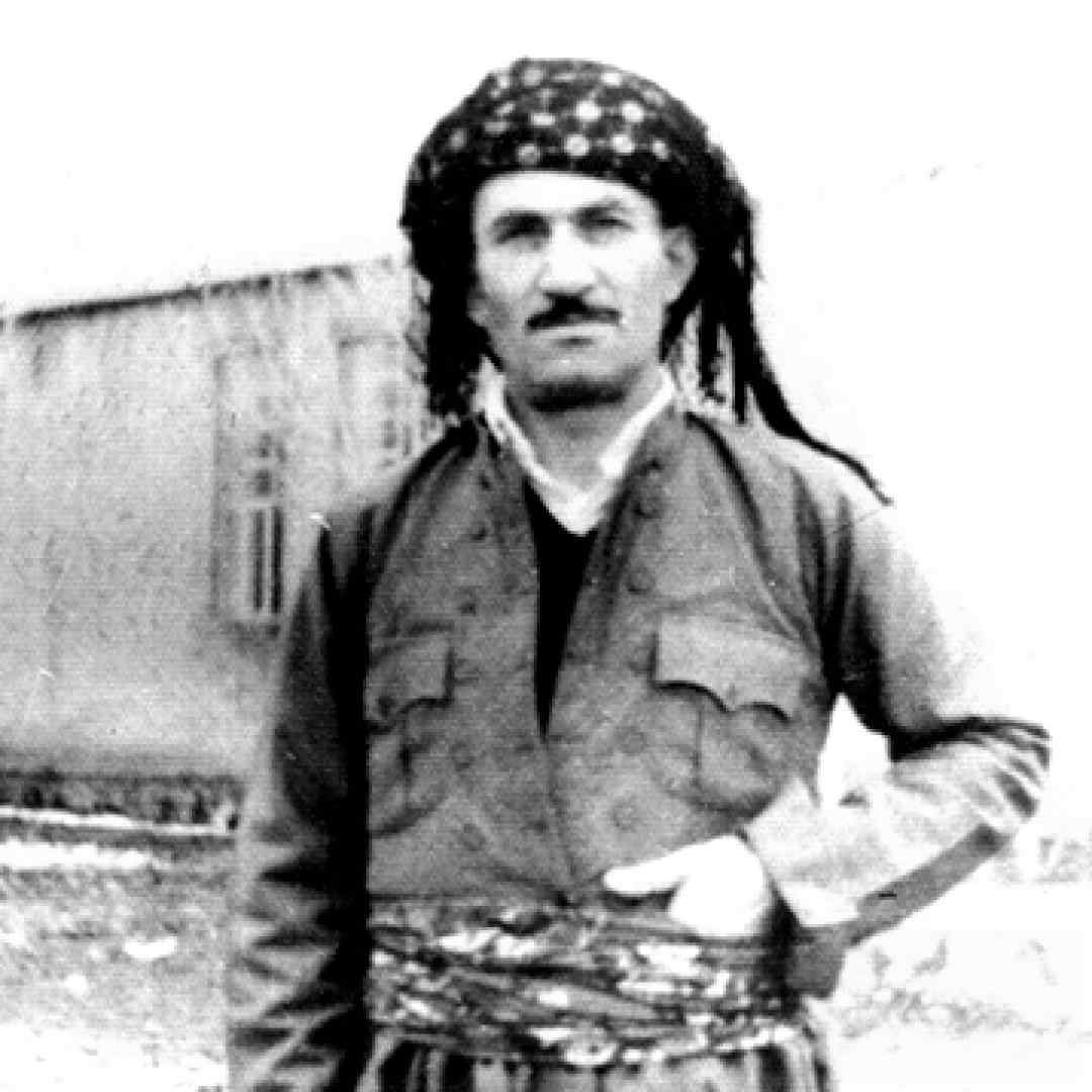 حسن زیرک غریب ماوم