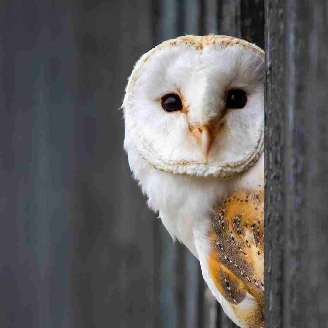  بیا برگردیم به هم من حاضرم تو با قلبت بیا (هوش مصنوعی)