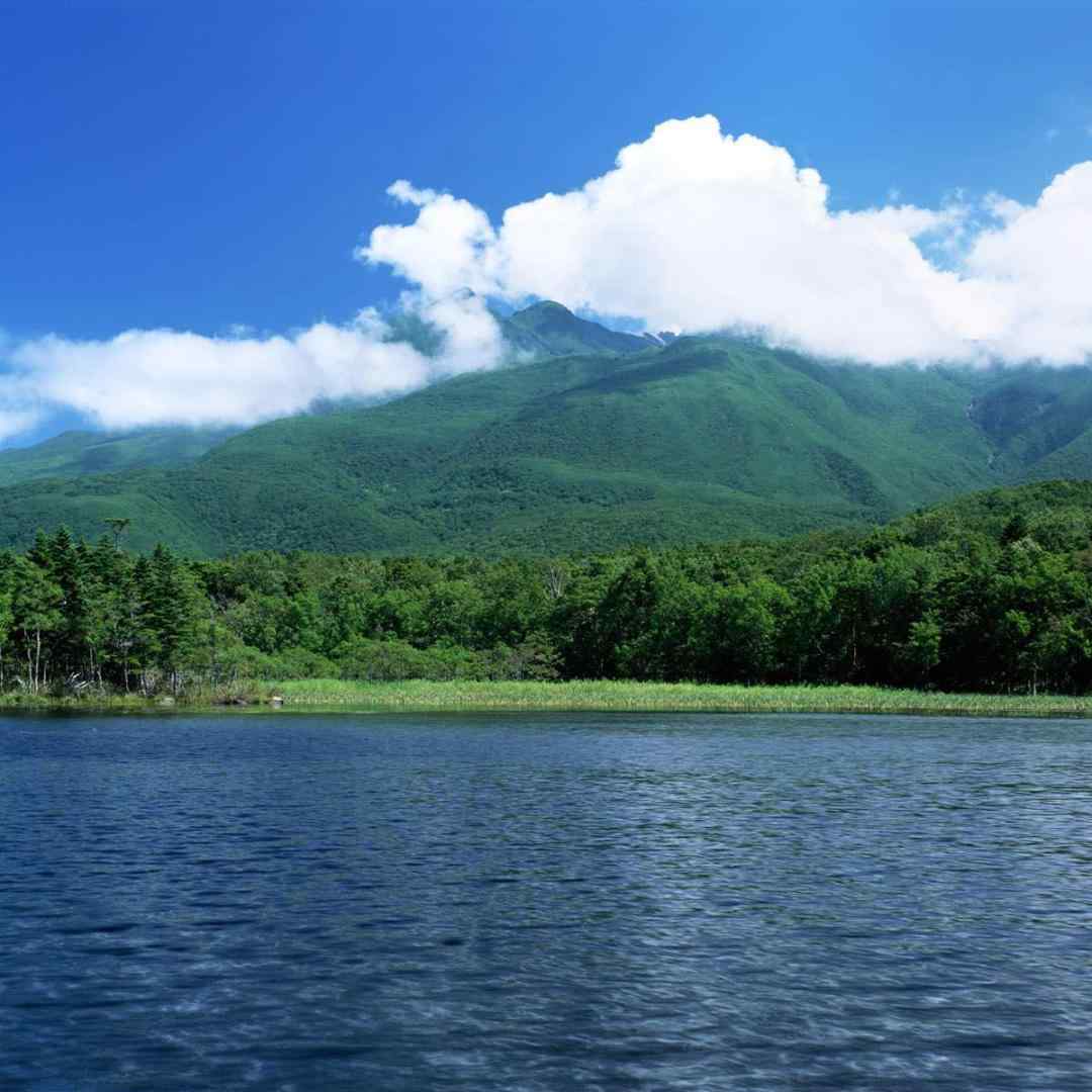  دیگه وقتشه برگردی با دوریم چطور سر کردی هوش مصنوعی با صدای زن و مرد