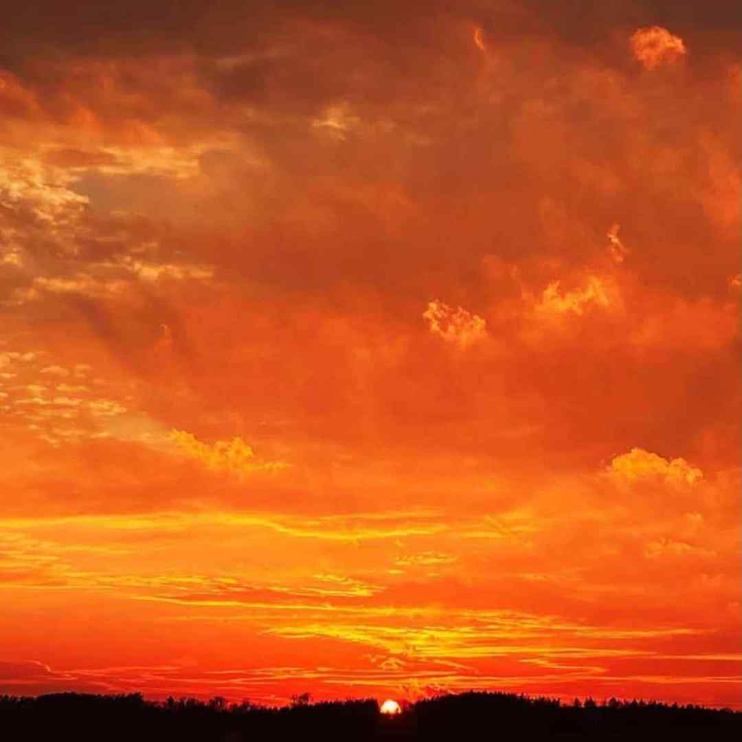 از آینده وحشت دارم بلوغ بود و نبود قلبم اون روزا