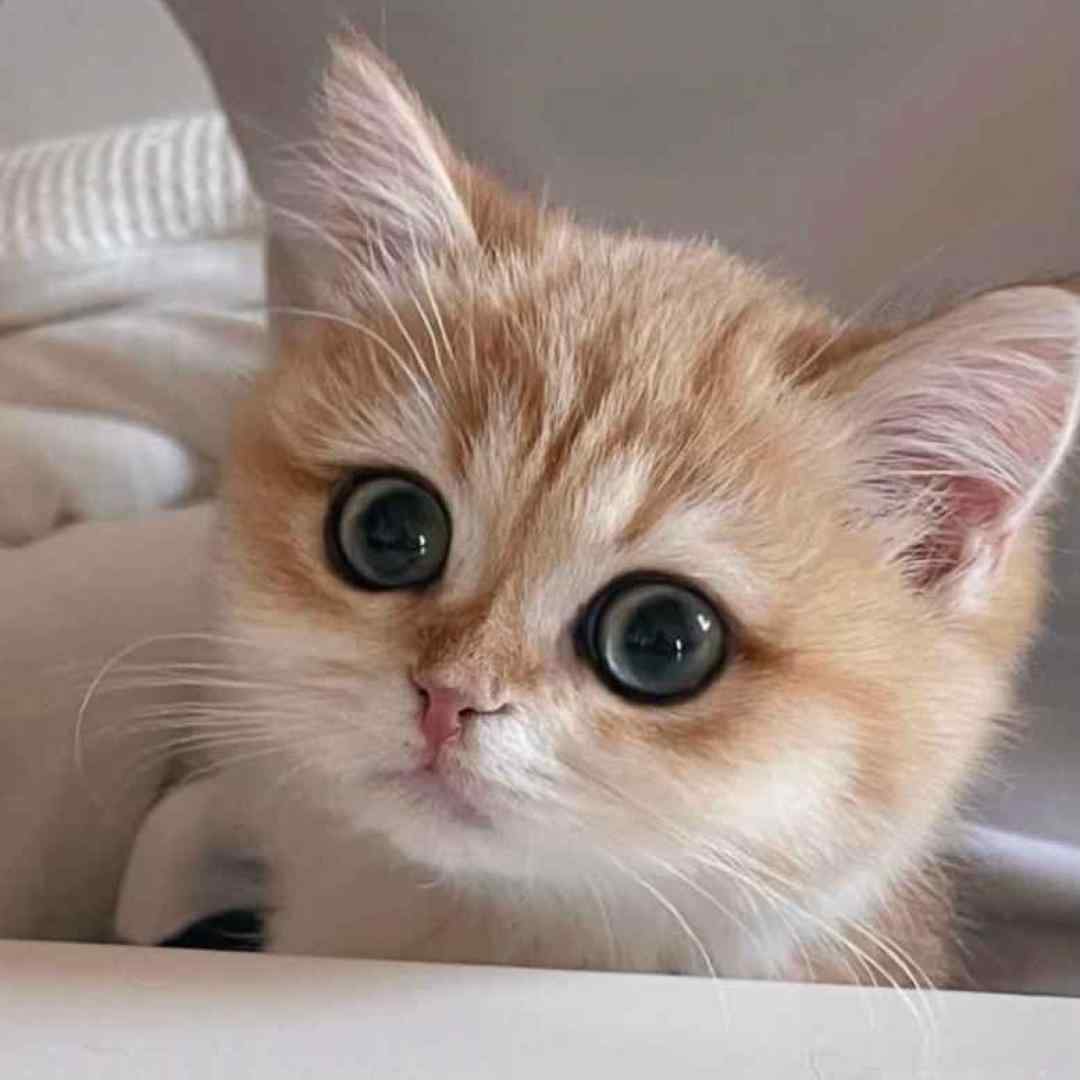  میشه بازم باهم حرف بزنیم میشه گاهی بهم سر (ورژن گروهی)