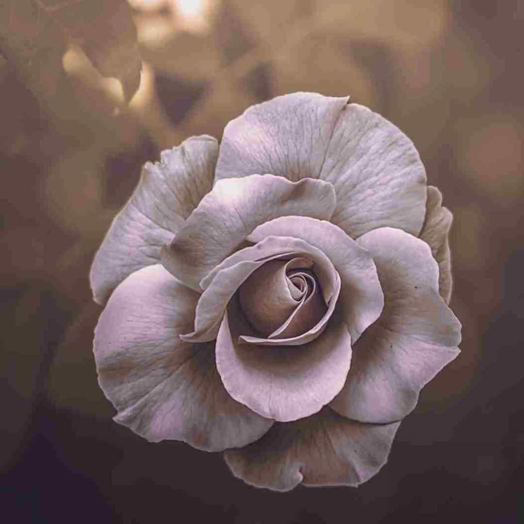  میگفت تو نداری دلشو یه روز بخوای ترکم کنی با صدای بچه