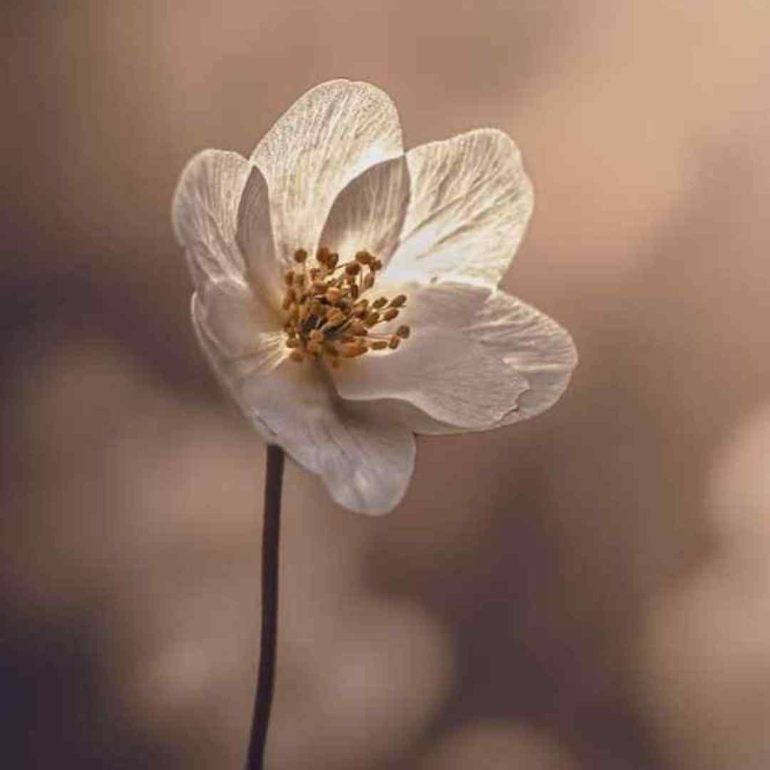 تو میگی یه وقتا گاهی پیش میاد یه اشتباهی ورژن گیتار