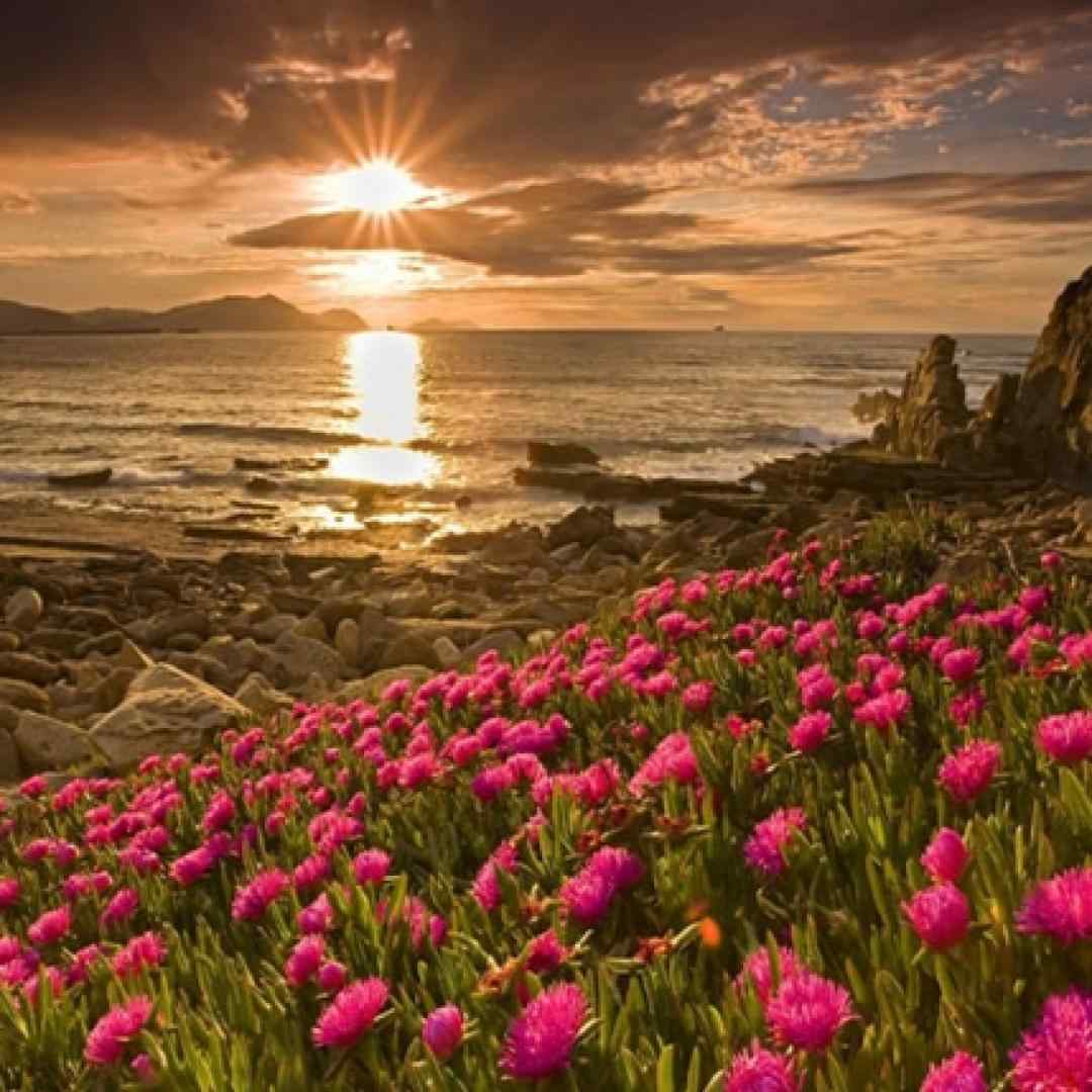  ای جان ای جان از کجای کیهان اومدی