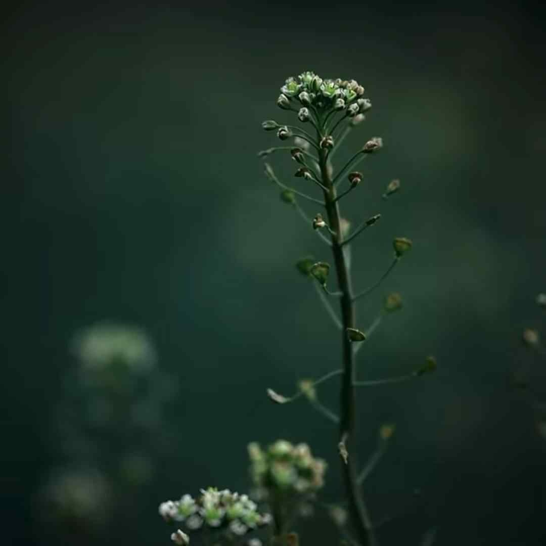 چشات ساحل آرامشه یه دریا رو سمت خودش با صدای بچه