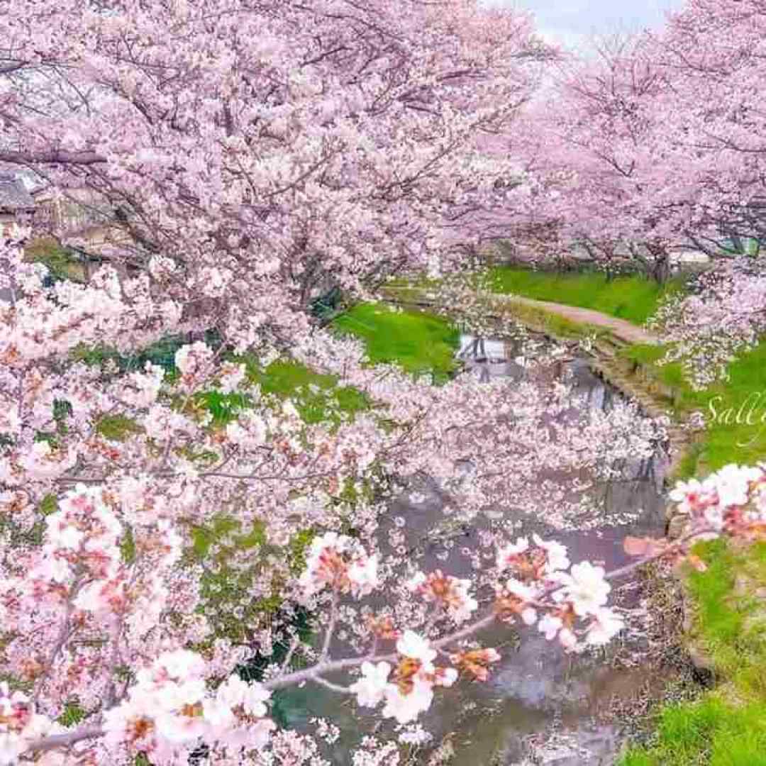  تقصیر توام نیست خب عاشقم نبودی باید با صدای بچه