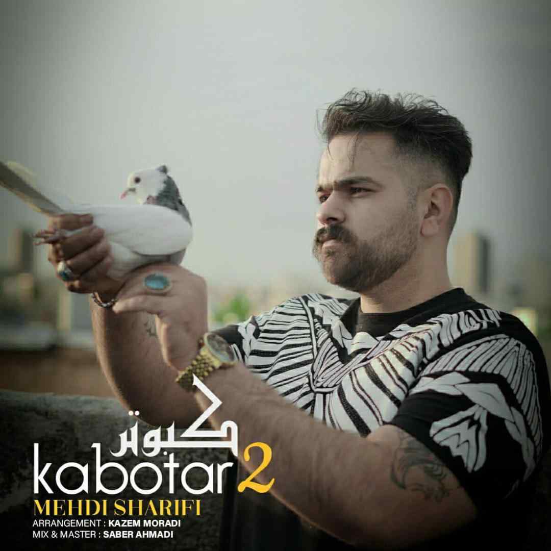 مهدی شریفی کبوتر ۲