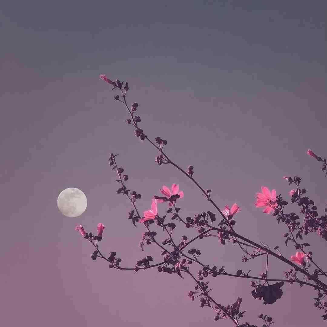 دستای گرمتو رد کردم ماهمی ماه منی خانومی کن و صبر کن