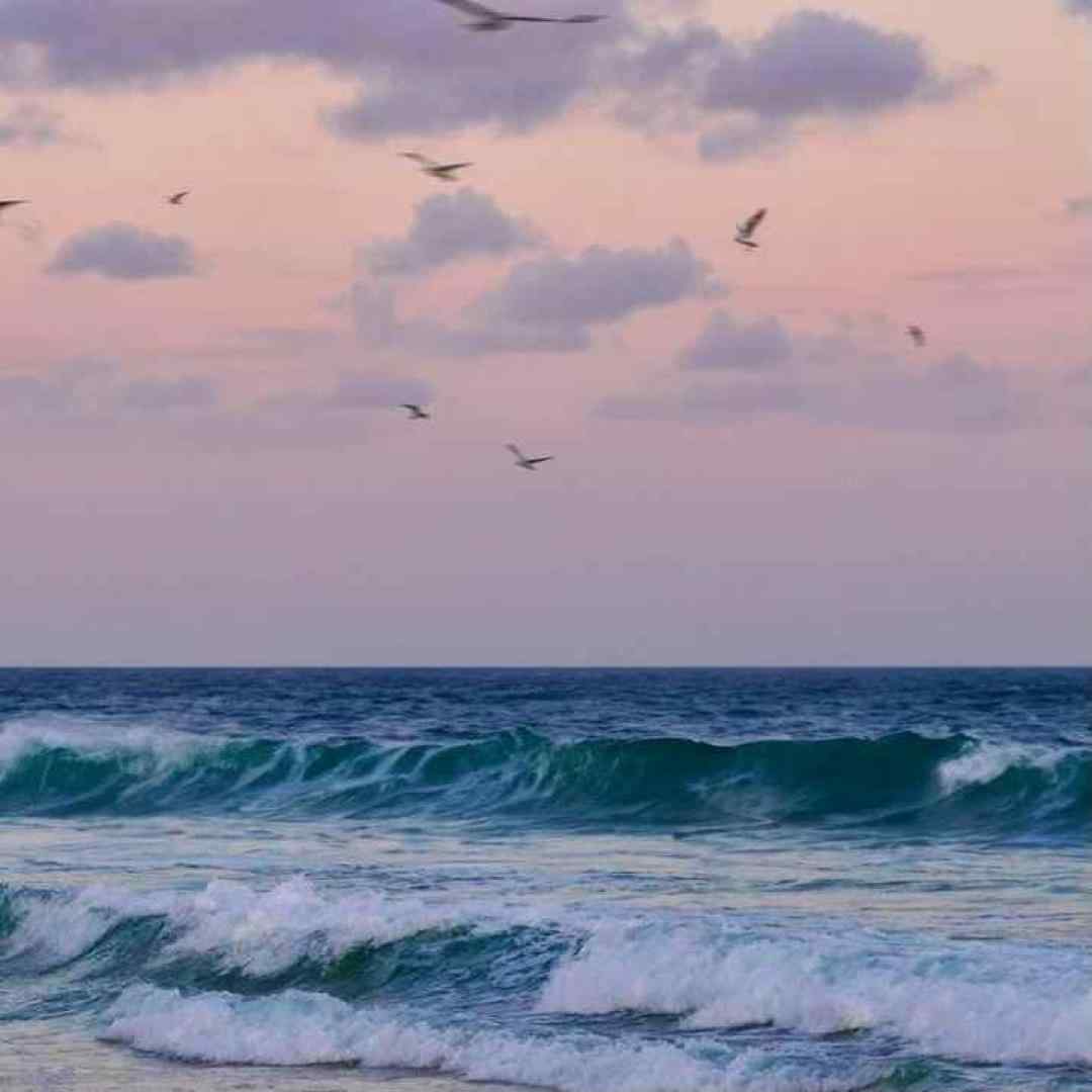  گری دون گری دون نه اولور گری دون با صدای دختر