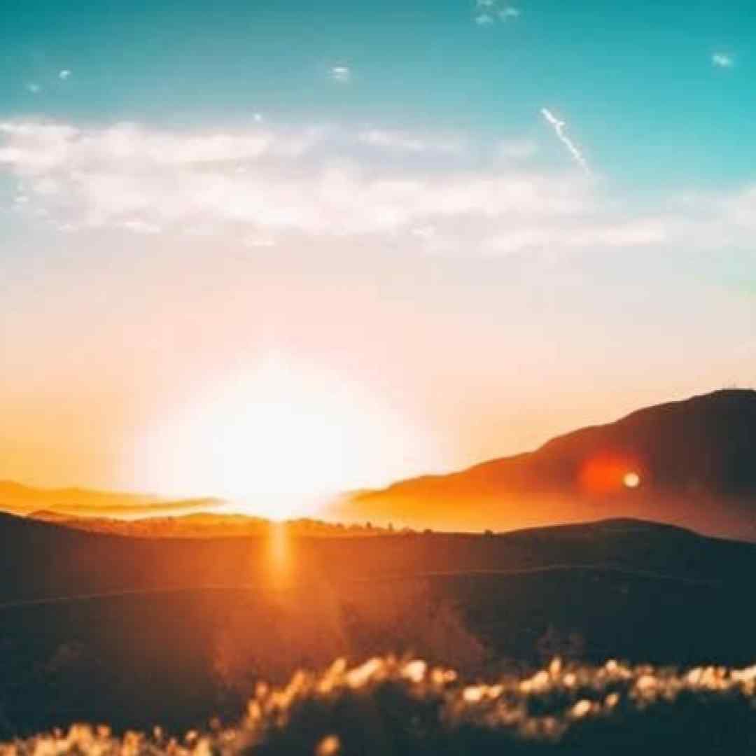 میش میش میش د موش موش ترند اینستا