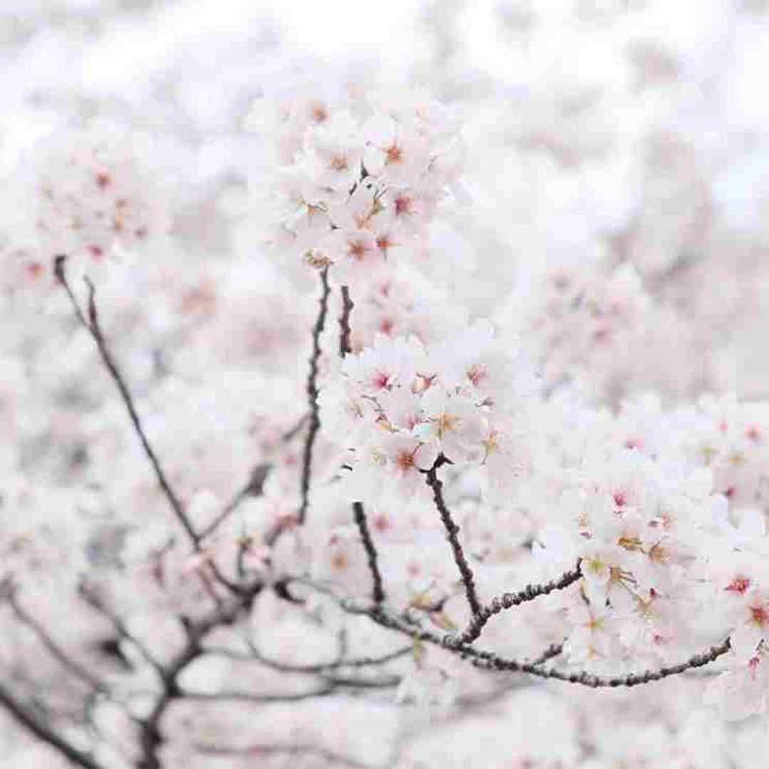 من غریب دریا از بوی دهنم بده تشخیص ماریان