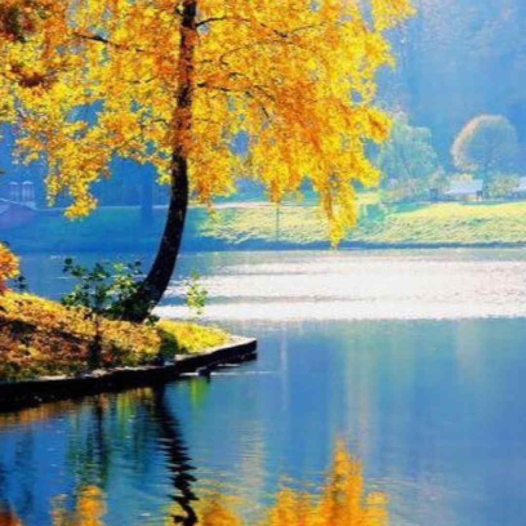  منم تصویر تو تویه ذهنم فراموشت نمیکنم تا وقتی زندم