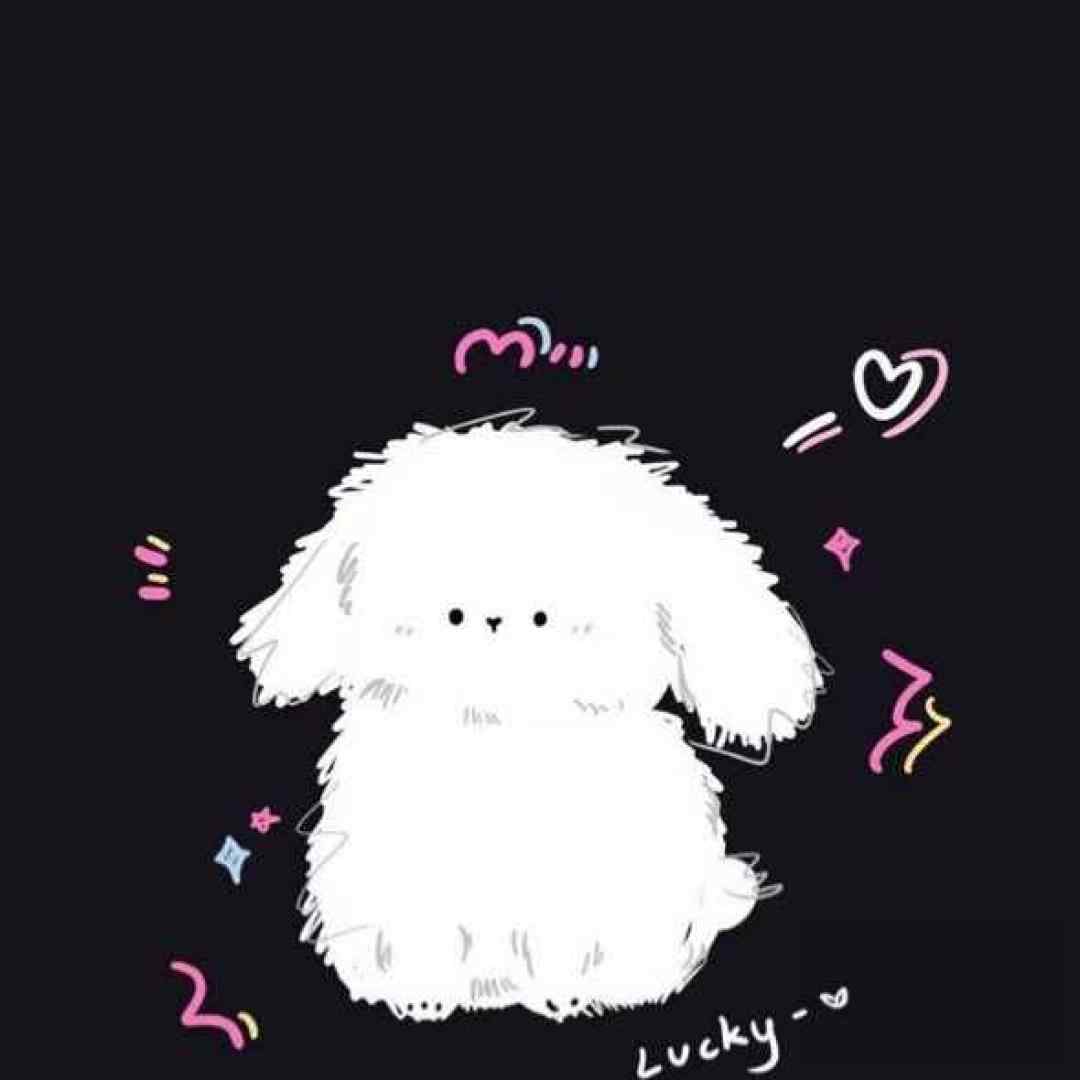  بمیرم کنی دلبر بوی بمیرم تو کنی یار بوی با صدای پسر