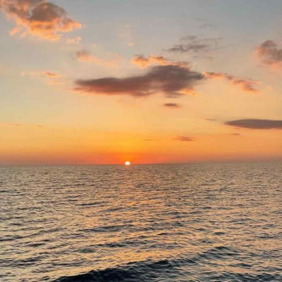 یار عزیزوم بی مو جر کرده نازتو میخرم گرون (ریمیکس رپی)