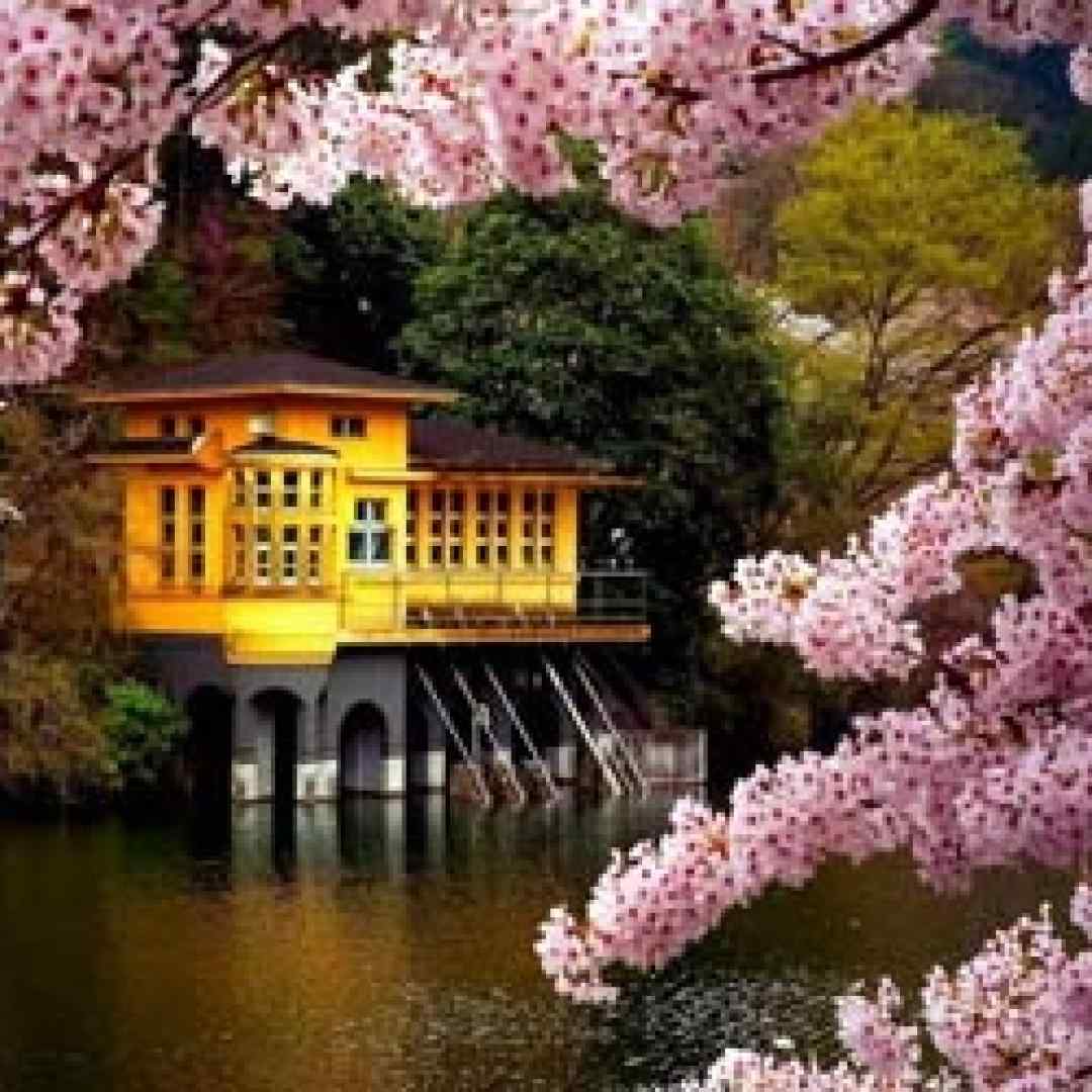  غم میون دو تا چشمون قشنگت لونه کرده ورژن گیتاری با صدای زن