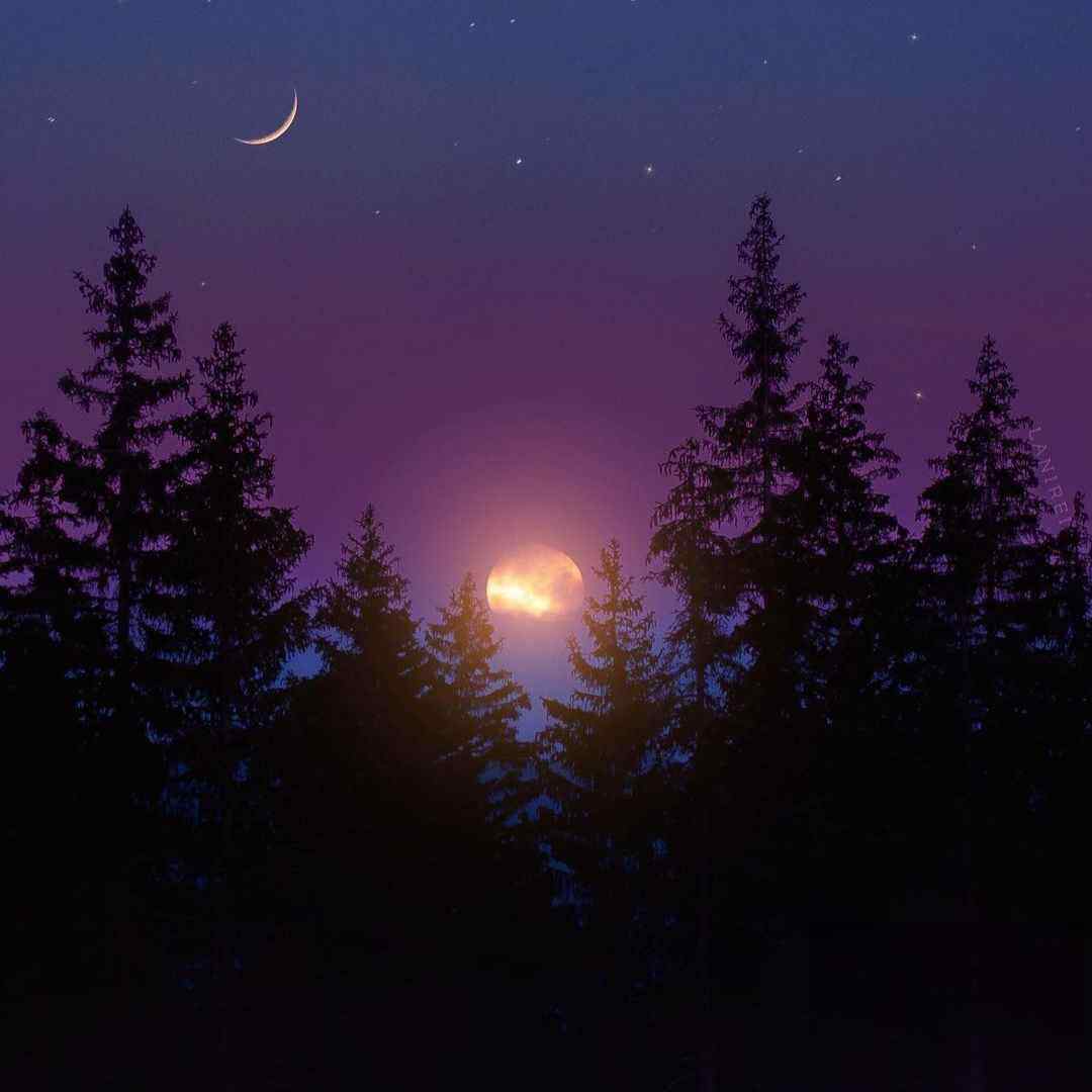  چشمانت نمیرود دیگر از یاد خندیدی (با صدای دختر)