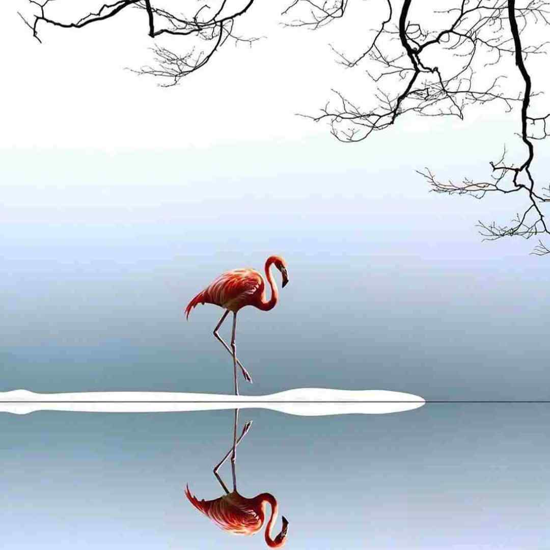  اتل متل توتوله بگو زندگی چجوره قشنگه میچرخه یا که چرخش