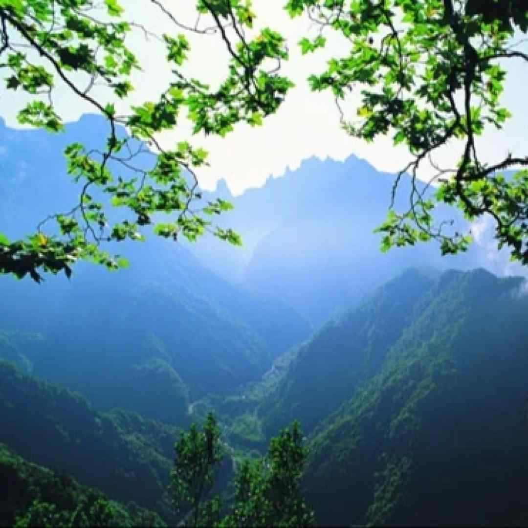 تویی که می جان و جهانی دلبر مازندرانی هوش مصنوعی با صدای زن