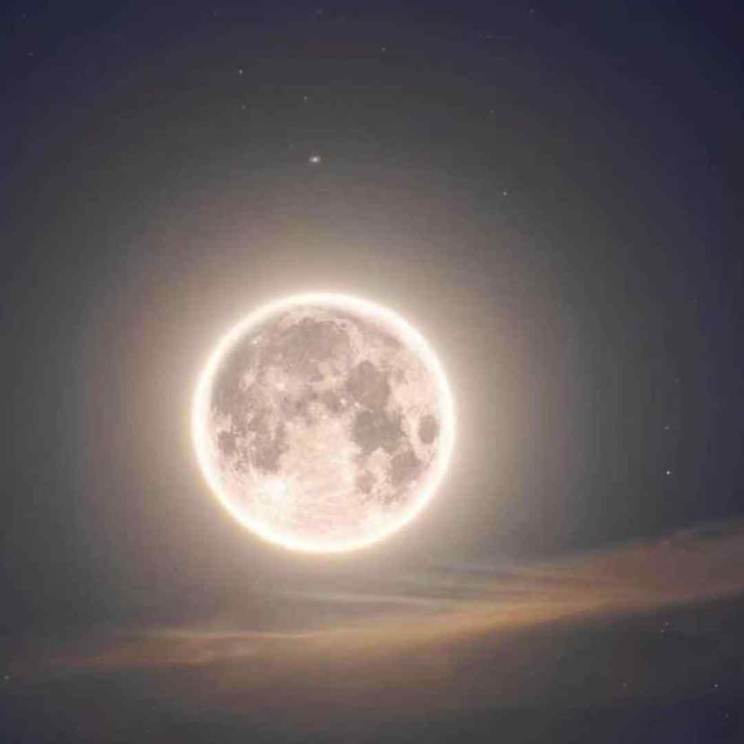 دشت جونمه سی عزیزم گل بکارم تا بیی با صدای مرد