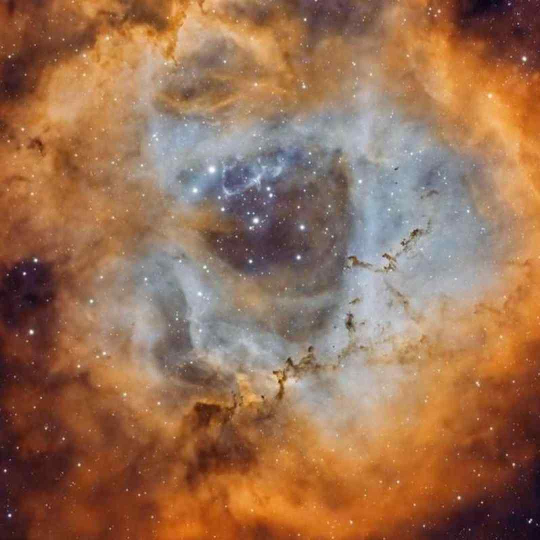 کجاشو دیدی تو صبر کن ببین چی میشه دلم برات ورژن اینستاگرامی