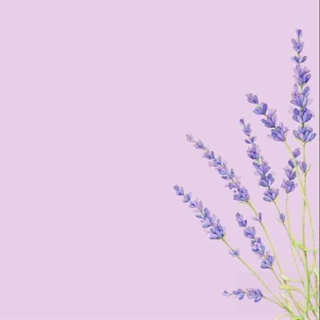 فاطمه عطایی آق ننه