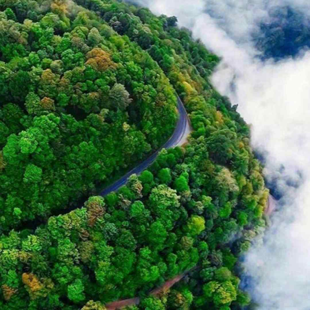 سیمگه سویلمه