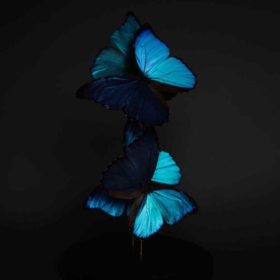  قربون حرف زدنت بشم که باعث شده عاشقت ورژن گیتار