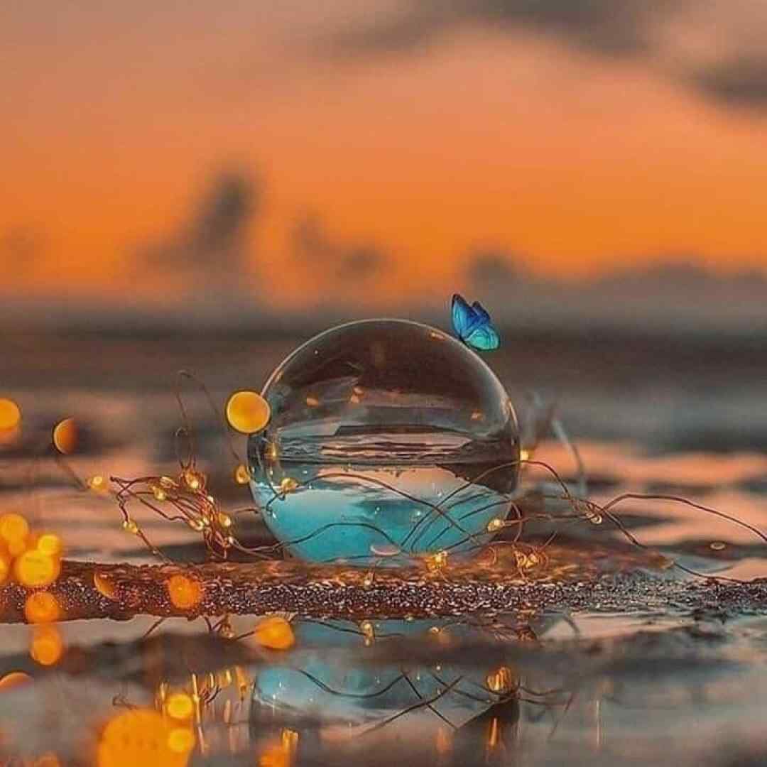  این بشه بشه بندره قربونش بشمه منه میکس با صدای بچه