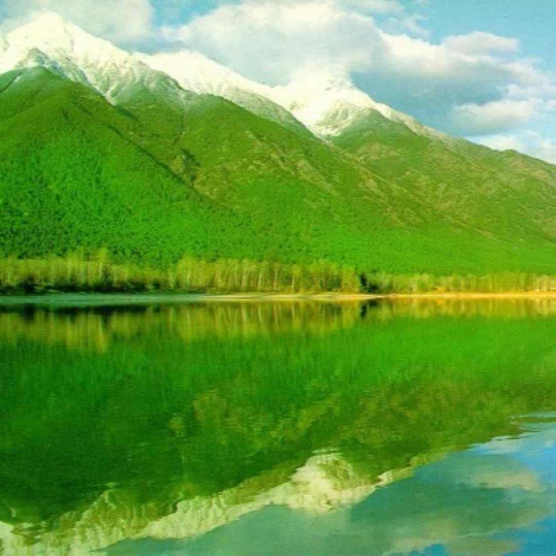  به دردونه ی جدیدت بگو من واسه داشتن مردها رقابت‌ نمیکنم