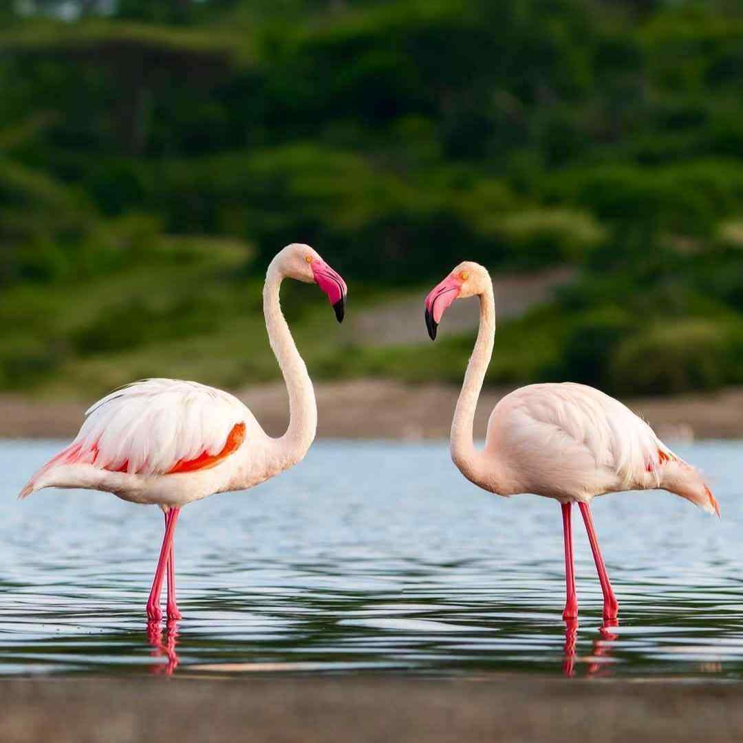  عالم دیگه ای داره چشات یه آرامشی داره ورژن گیتار