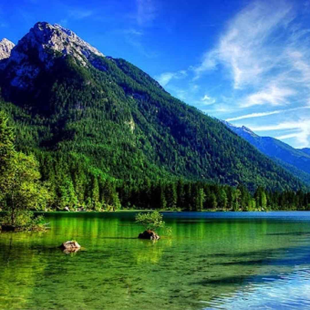  جانا دلم ربوده ای فریبانه به انتظار تو غریبانه هوش مصنوعی با صدای زن و مرد