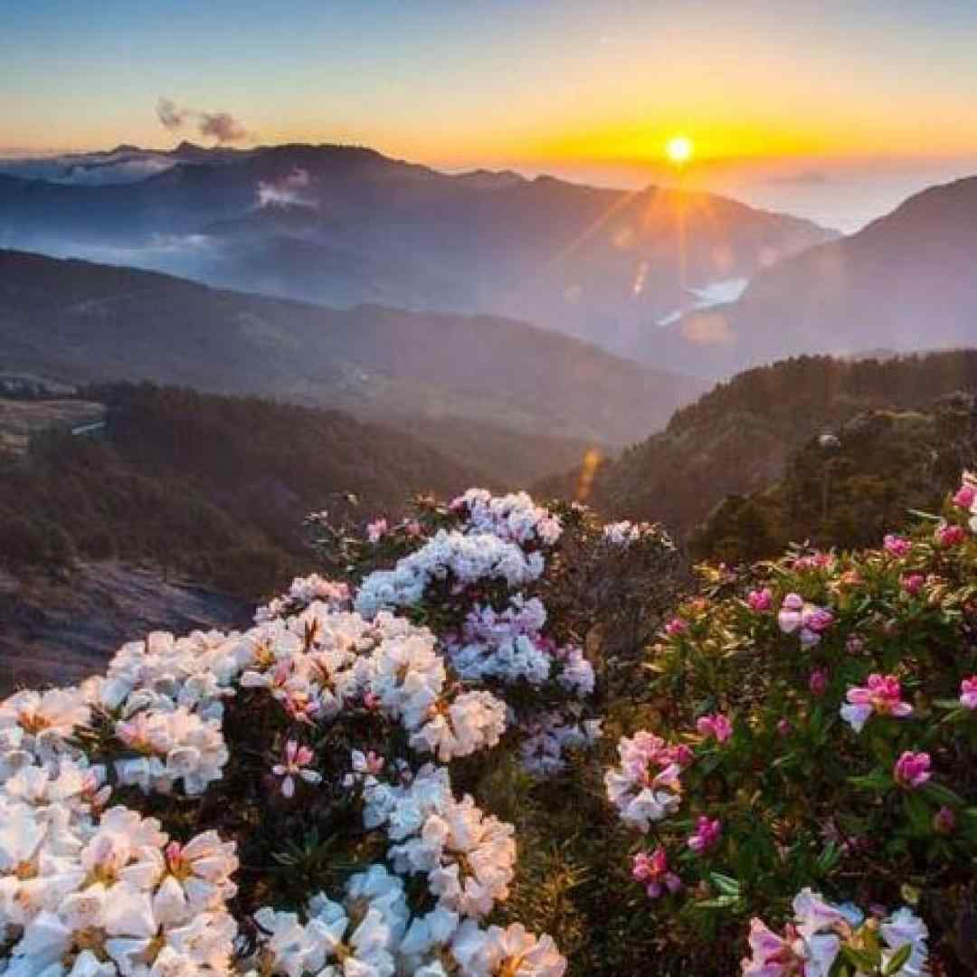  من تو هوات مستم رو شده دیگه دستم هوش مصنوعی با صدای زن