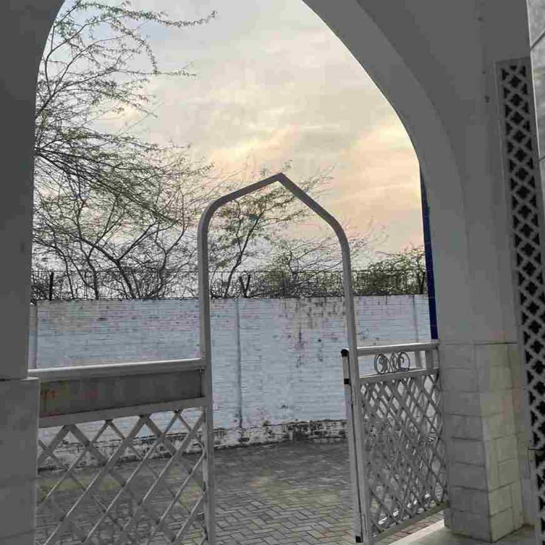  کش میاد دلار دلار چنج میشه تومان دوربینا رومان