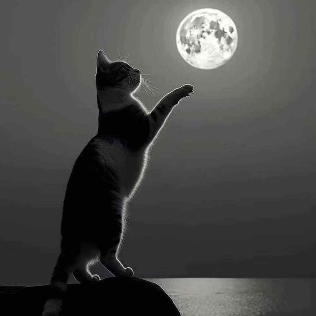  با دلبریات خوشگلا باید برقصن خوشگلا باید با صدای بچه