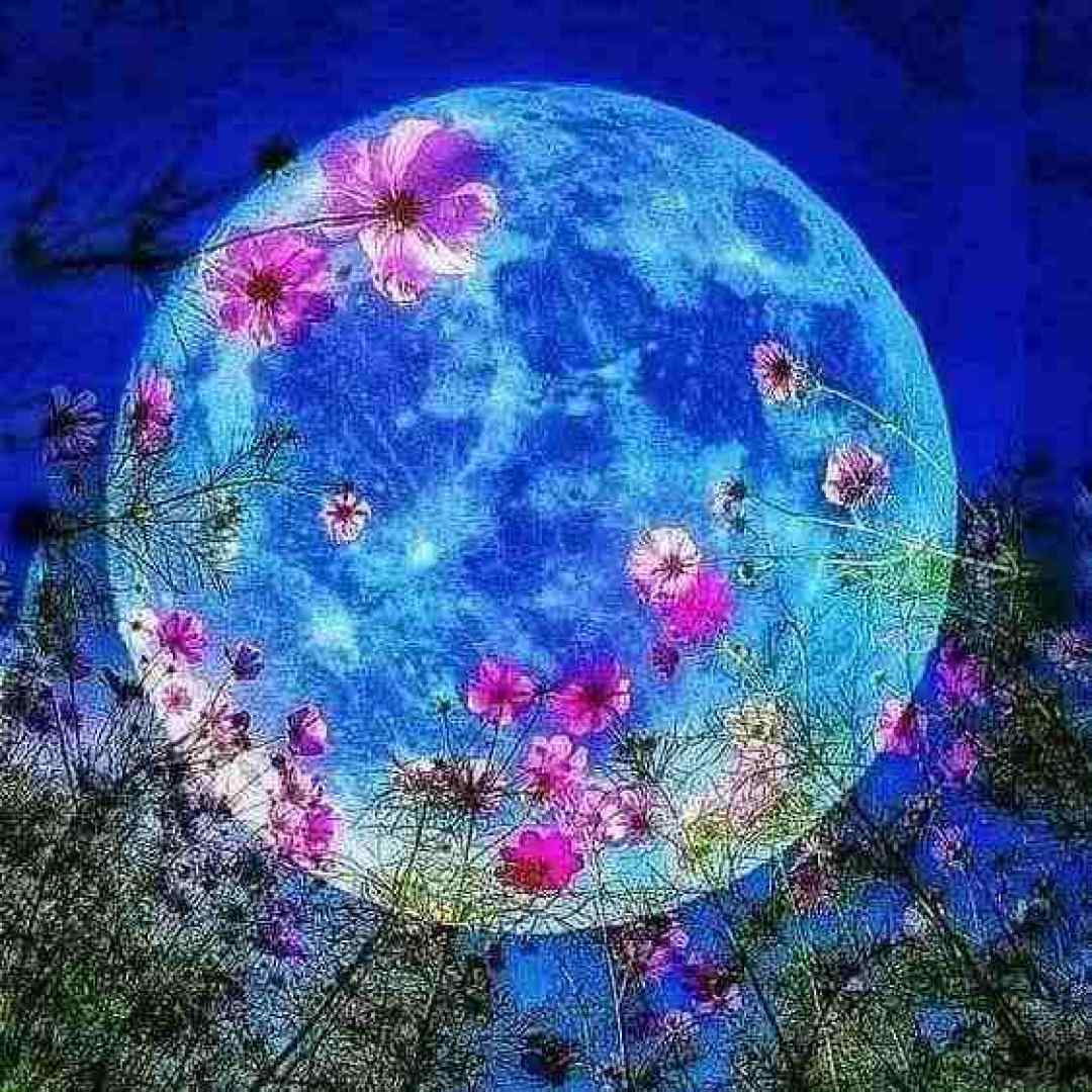  عشق واسه من یه معجزه است (ورژن خارجی اینستاگرامی)