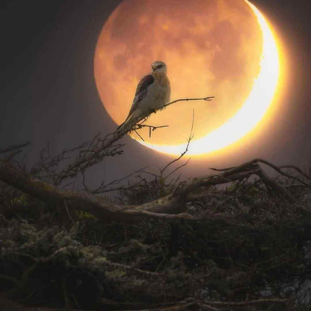  وقتی چشم قشنگ تو افتاد تو چشمای من با صدای بچه