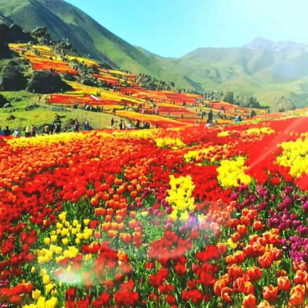  همینجا توی دستام واست خونه میسازم هوش مصنوعی با صدای زن