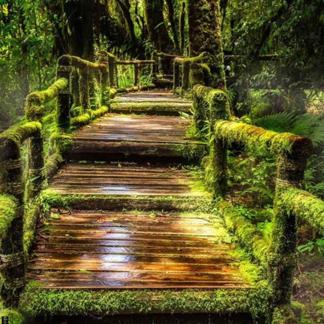  ته رو هلال ماهه قرص قمر تو هستی هوش مصنوعی با صدای زن