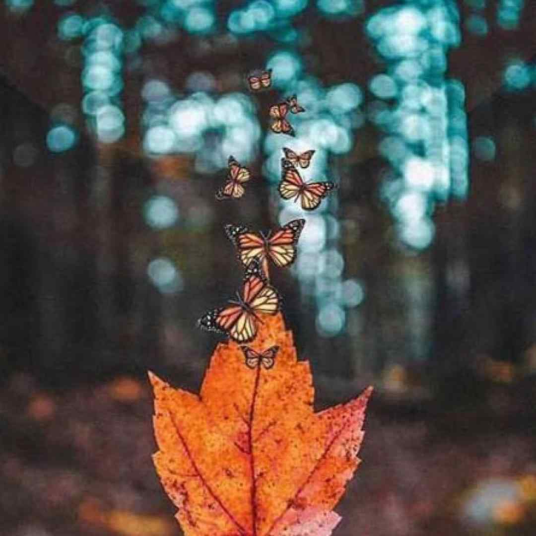  اون روزو میبینم بگردی دنبالم هوش مصنوعی