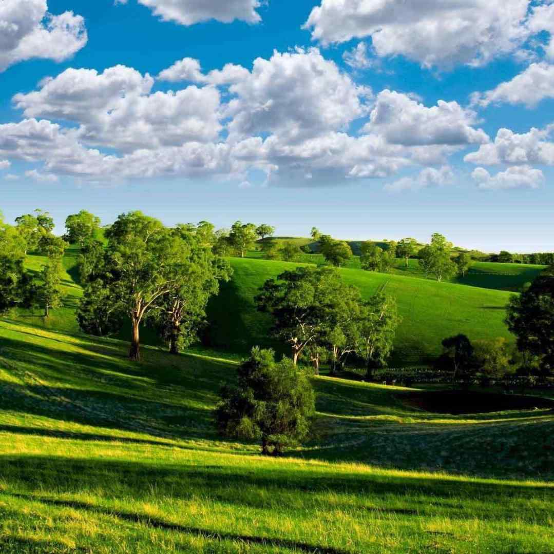  سبزه کشمیر ما زلفای تو زنجیر ما