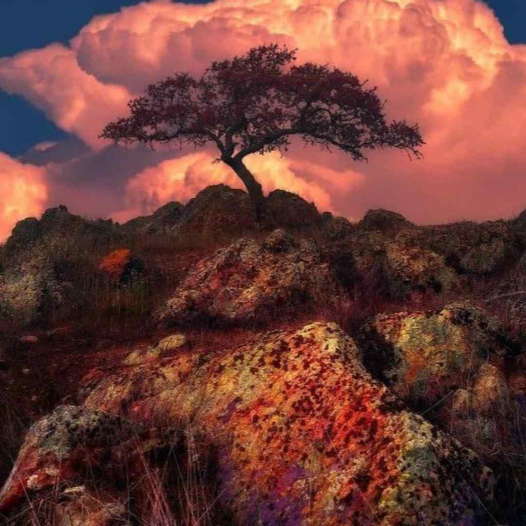 من میرم ولی باز تو بدون همیشه کیو بازی میدی