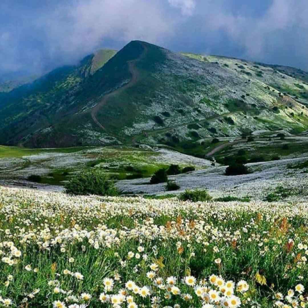سیل اومد هر چی رویا جمع کردم با خودش برد با صدای زن و مرد