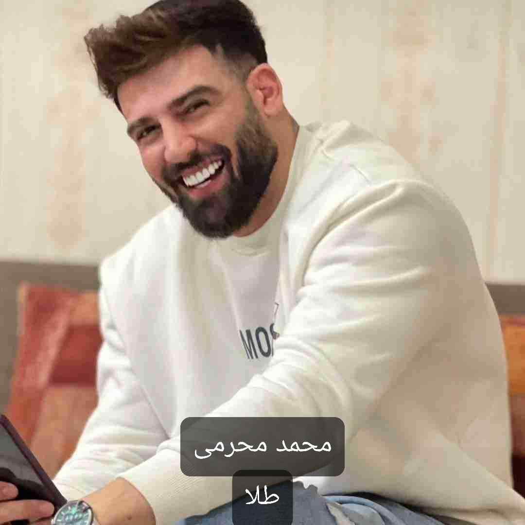 محمد محرمی طلا