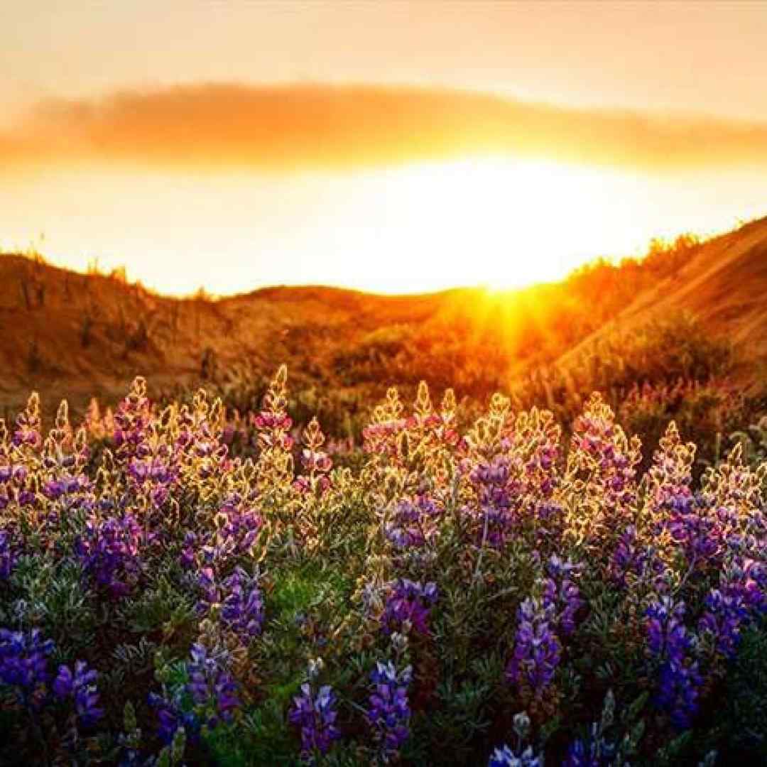  برای دخترم لالایی میخونم ترکی با صدای زن