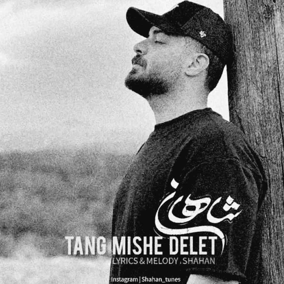 شاهان تنگ میشه دلت